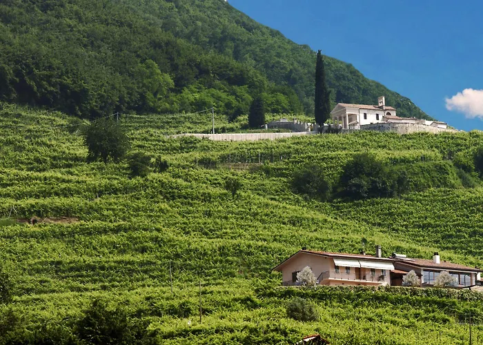 Bed and Breakfast Casa Bortolin Valdobbiadene